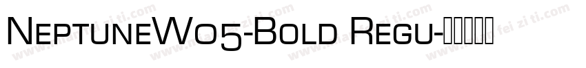 NeptuneW05-Bold Regu字体转换